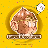 Slapen is voor Apen artwork