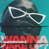 Wanna Wake Up? - Single