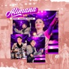Alimaña ((En Vivo)) - Single