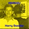 Primary - Harry Rooster lyrics