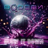 Slow It Down - Single