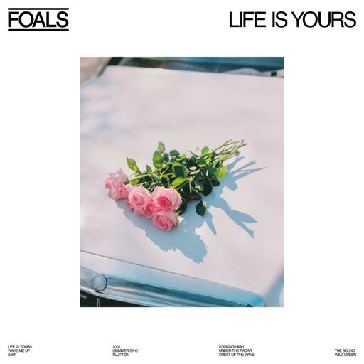 Art for 2001 by Foals