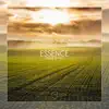 Essence - Single album lyrics, reviews, download