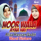 Noor Wala Aaya Hai artwork