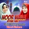 Noor Wala Aaya Hai artwork