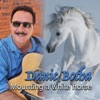 Mounting a White Horse - EP