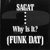 Funk Dat (Why Is It?)