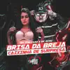 Stream & download Brisa Da Breja X Caixinha De Surpresa - Single