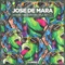 Where The Party People At? - Jose de Mara lyrics