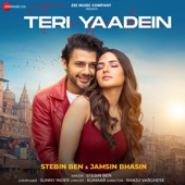 Teri Yaadein artwork