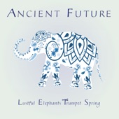 Ancient Future - Lustful Elephants Trumpet Spring (feat. Matthew Montfort, Frank Martin & Aditya Kalyanpur) [Live 6-12-21]