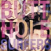 Butthole Surfers - The Colored F.B.I. Guy - From "Widowermaker!"