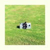 I Like Everything About You - Single