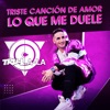 Triste Canción de Amor / Lo Que Me Duele - Single