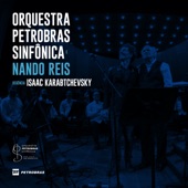 Nando Reis e Orquestra Petrobras Sinfônica artwork