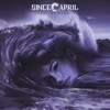 In the Dark - Single