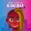 Il ou elle (Remix) - Single album lyrics, reviews, download