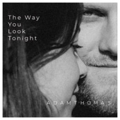 The Way You Look Tonight (Cover) artwork