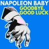Goodbye, Good Luck - Single