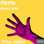 Festa (Radio Edit) artwork