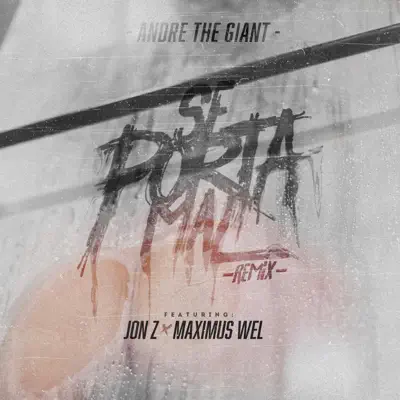 Se Porta Mal (Remix) [feat. Jon Z & Maximus Wel] - Single - Andre the Giant