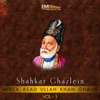 Shahkar Ghazlein, Vol. 1