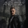 Anii Ce-O Sa Vina - Single