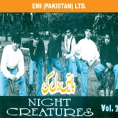 Night Creatures 'Baatein Dil Ki'