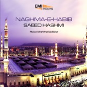 Naghma-E-Habib artwork