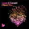 I Need You (123XYZ Remix) - Lauer & Canard lyrics