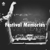 Festival Memories artwork