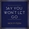 Say You Won't Let Go - Nick Pitera lyrics