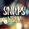 Snapsvisor - Various Artists