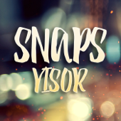 Snapsvisor - Various Artists