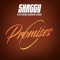 Promises (feat. Romain Virgo) - Shaggy lyrics