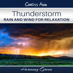 Thunderstorm, Rain and Wind for Relaxation (Ambient Nature Sounds) by Chriss Aum & Harmony Green album reviews, ratings, credits