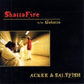 Shatta Fire - EP artwork