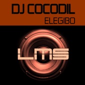 Elegibo (Afro Mix) artwork