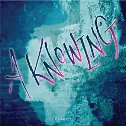 A Knowing (feat. Boi B) - Single - Gummy