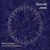 Synovial Joints (feat. Steve Coleman, Jonathan Finlayson, Jen Shyu, Tim Albright, Miles Okazaki, David Bryant, Anthony Tidd & Marcus Gilmore), 2017