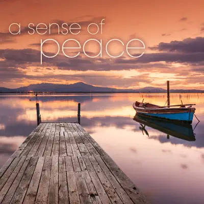 A Sense of Peace - Steve Wingfield