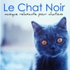 Le Chat Noir – Musique relaxante pour chatons et tous les animaux qu'on adore