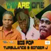 Stream & download We Are One (Feat. Turbulance & Singer J) - Single