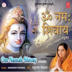 Om Namah Shivay by Anuradha Paudwal & Pankaj Bhatt album reviews, ratings, credits