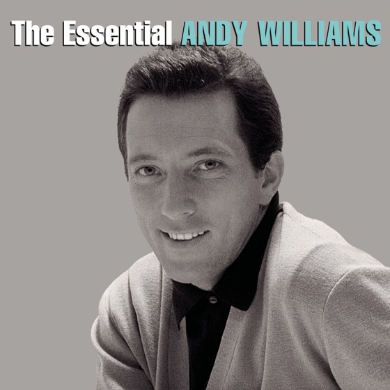 Cover artwork for Holly