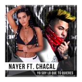 Yo Soy Lo Que Tu Quieres (feat. Chacal) artwork