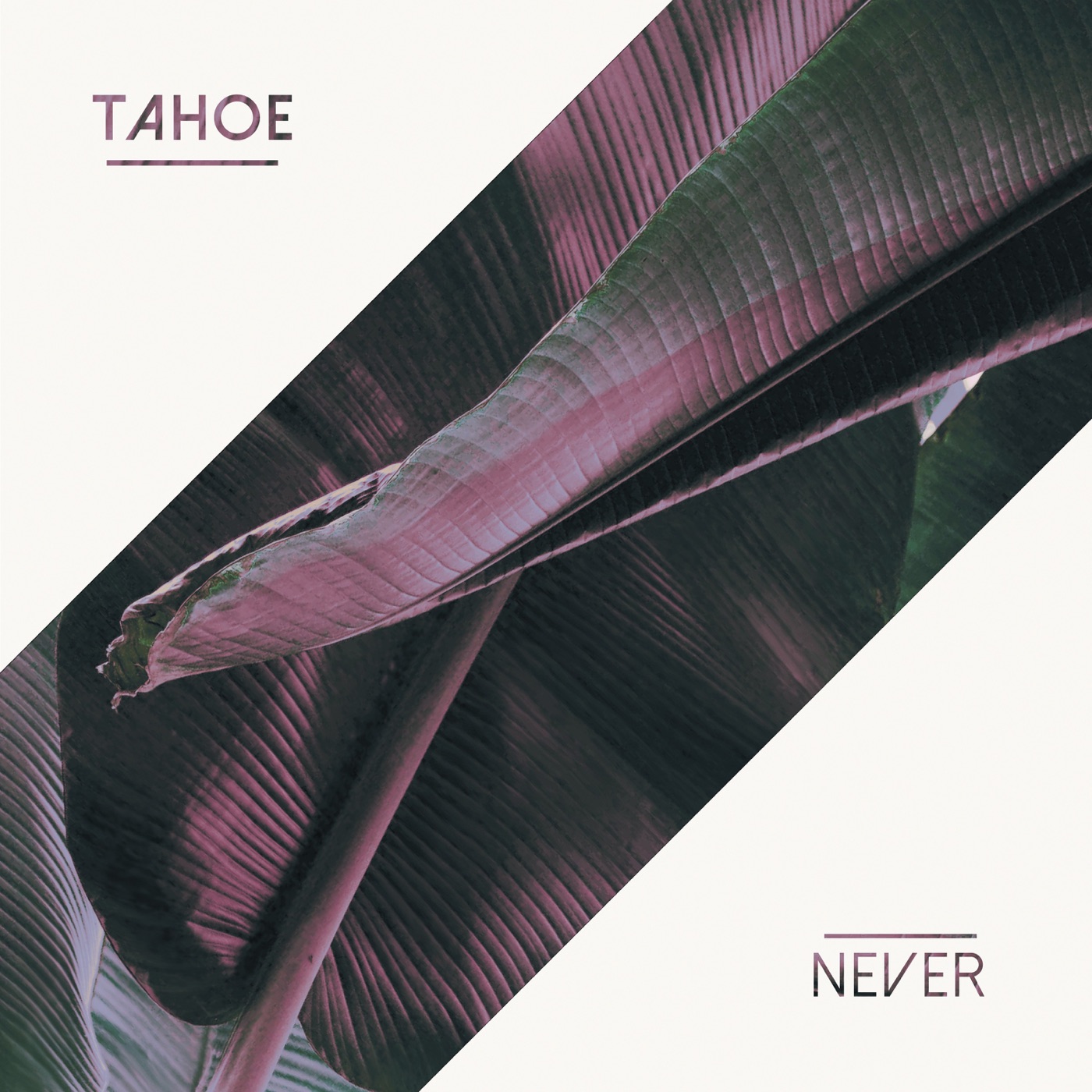 Tahoe - Never [EP] (2017)