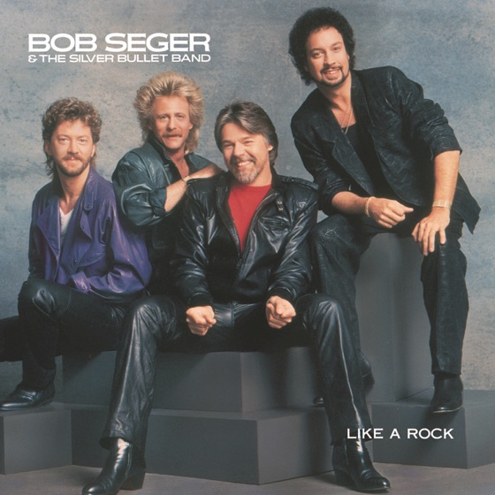 Cover artwork for American Storm