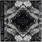 Sonar (Florian MSK Remix) - Pulses lyrics