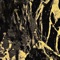 Calavera Que Ríe - Mico lyrics